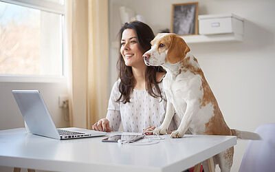 Frau arbeitet mit Hund im Home Office