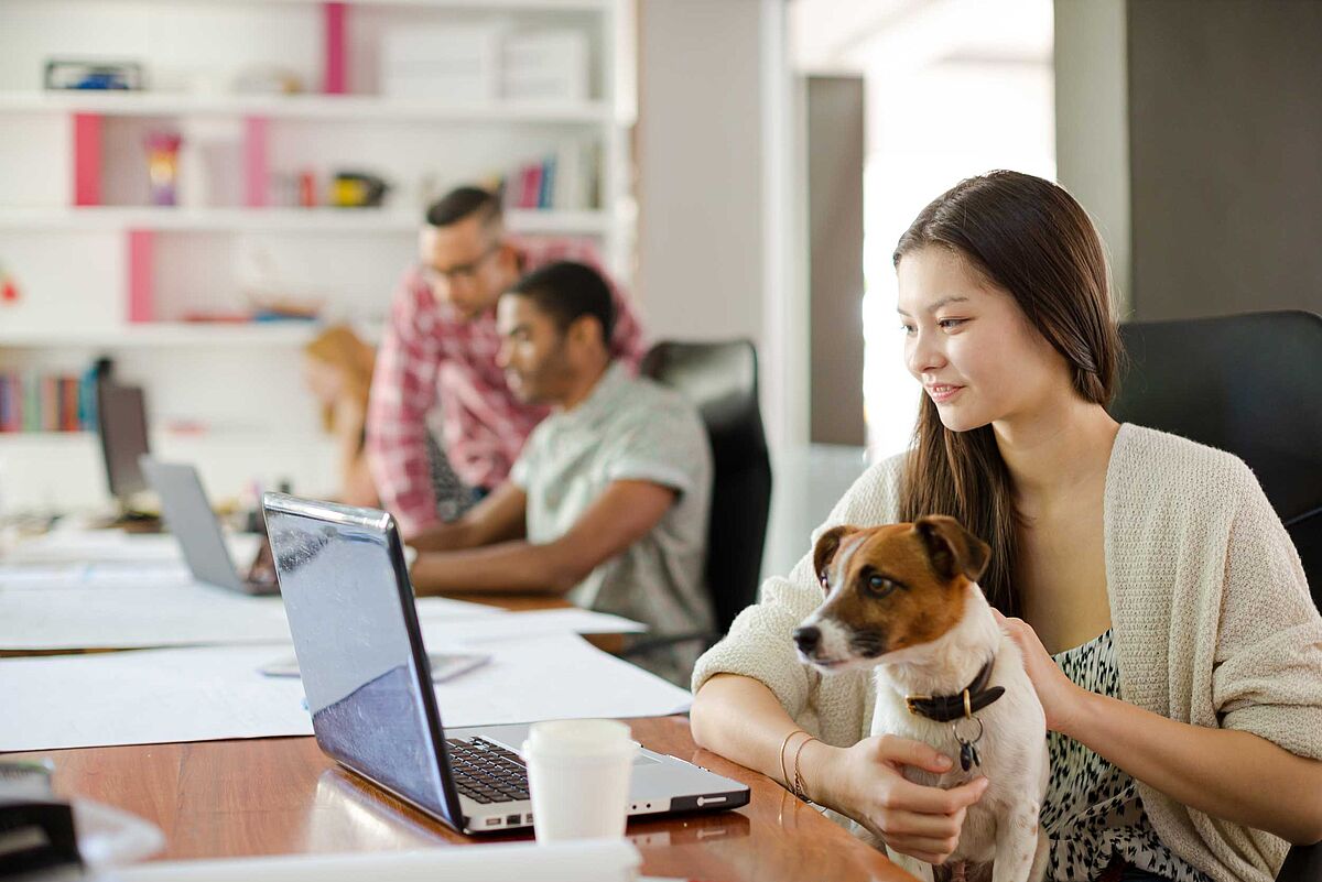 Bürohund | kleiner Hund im Büro sitzt auf Schoss von Frau, beide schauen in einen Laptop, im Hintergrund zwei Männer am Computer